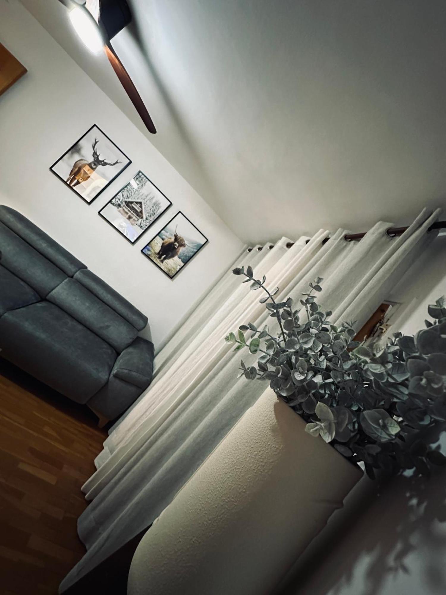 El Balcon De Biescas. Apartment Ngoại thất bức ảnh
